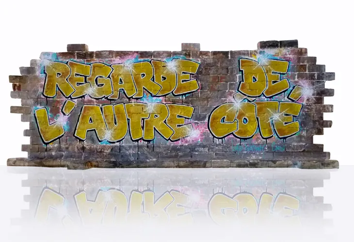 "Regarde de l'autre côté" 20,5x56x6 cm